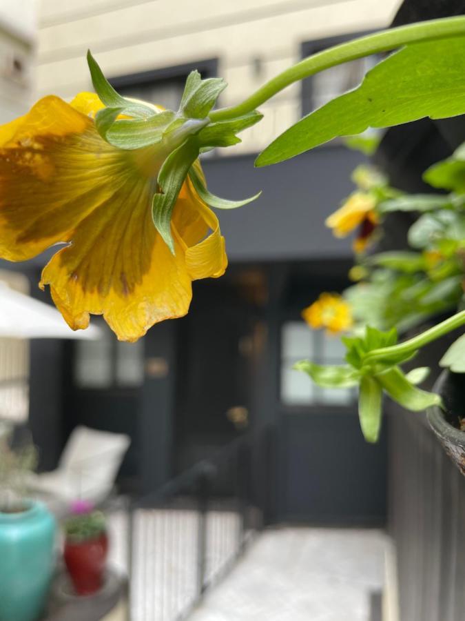Villa Brown Tel-Aviv, A Member Of Brown Hotels Exterior foto